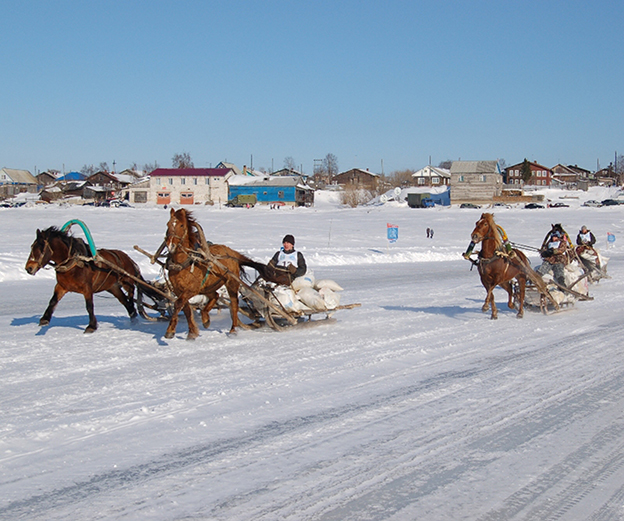 Ижемский район готовится к зимним конным соревнованиям на санных повозках