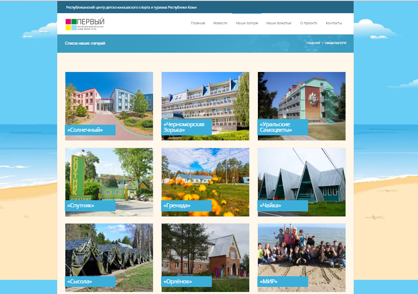 В Коми для родителей создали сайт по детским лагерям отдыха