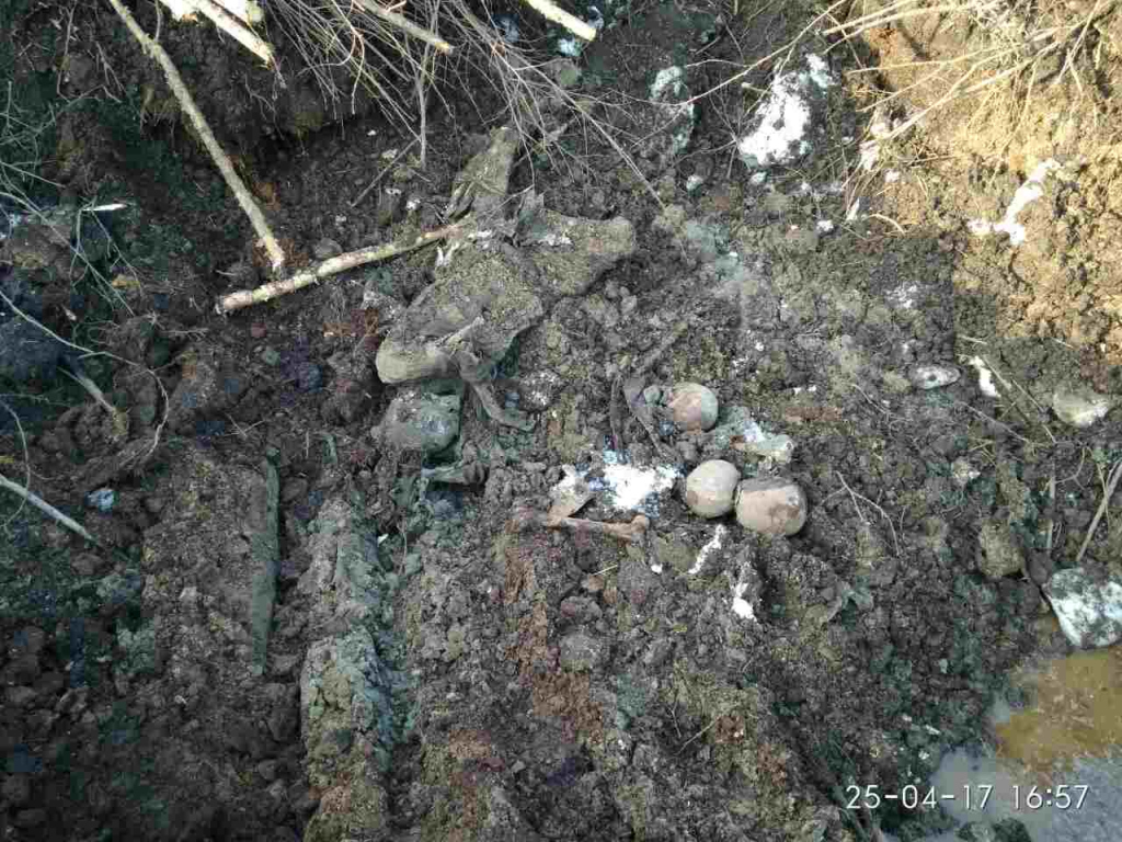 Следователи Ухты проверят найденные в траншее костные останки
