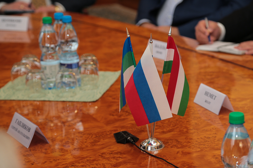 Коми и Венгрия заинтересованы в развитии экономических и культурных взаимоотношений