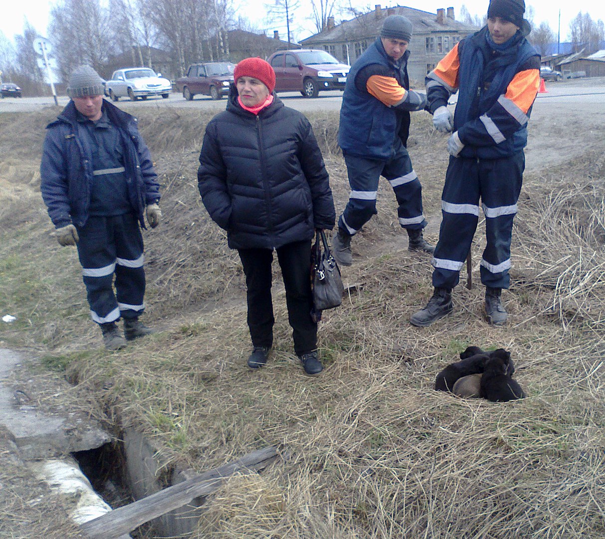 Троицко-Печорские спасатели достали из-под плиты теплотрассы новорожденных щенят