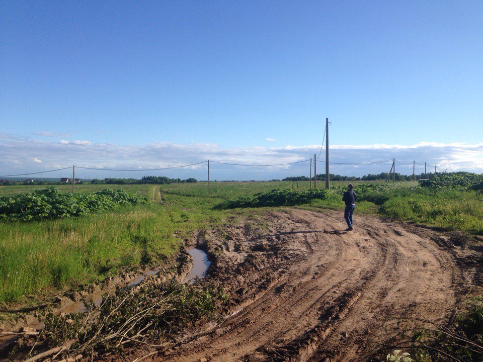 Владельцы земельных участков в Выльгорте объединились для строительства дороги к массиву

