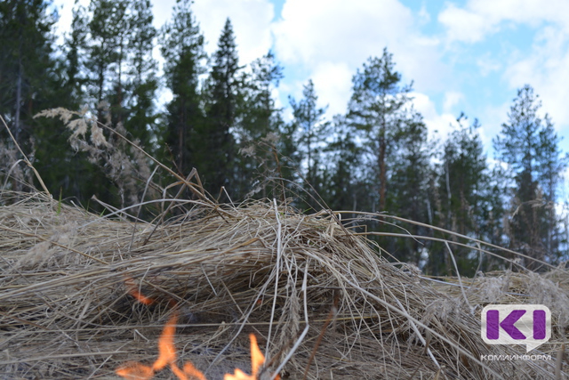 46 лесных пожаров обнаружено в Коми с начала пожароопасного сезона