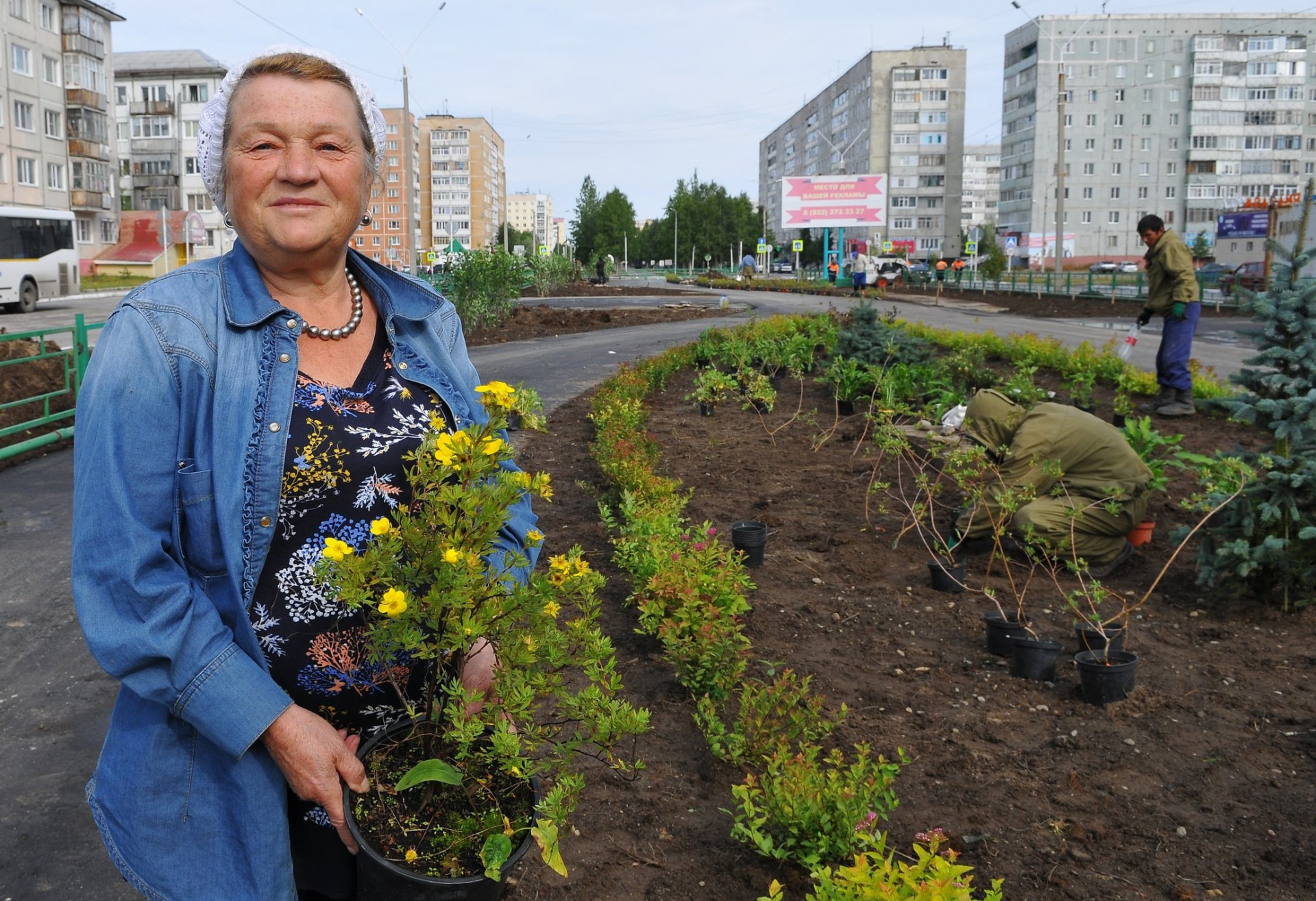 Усинск украсит новый сквер с редкими растениями 