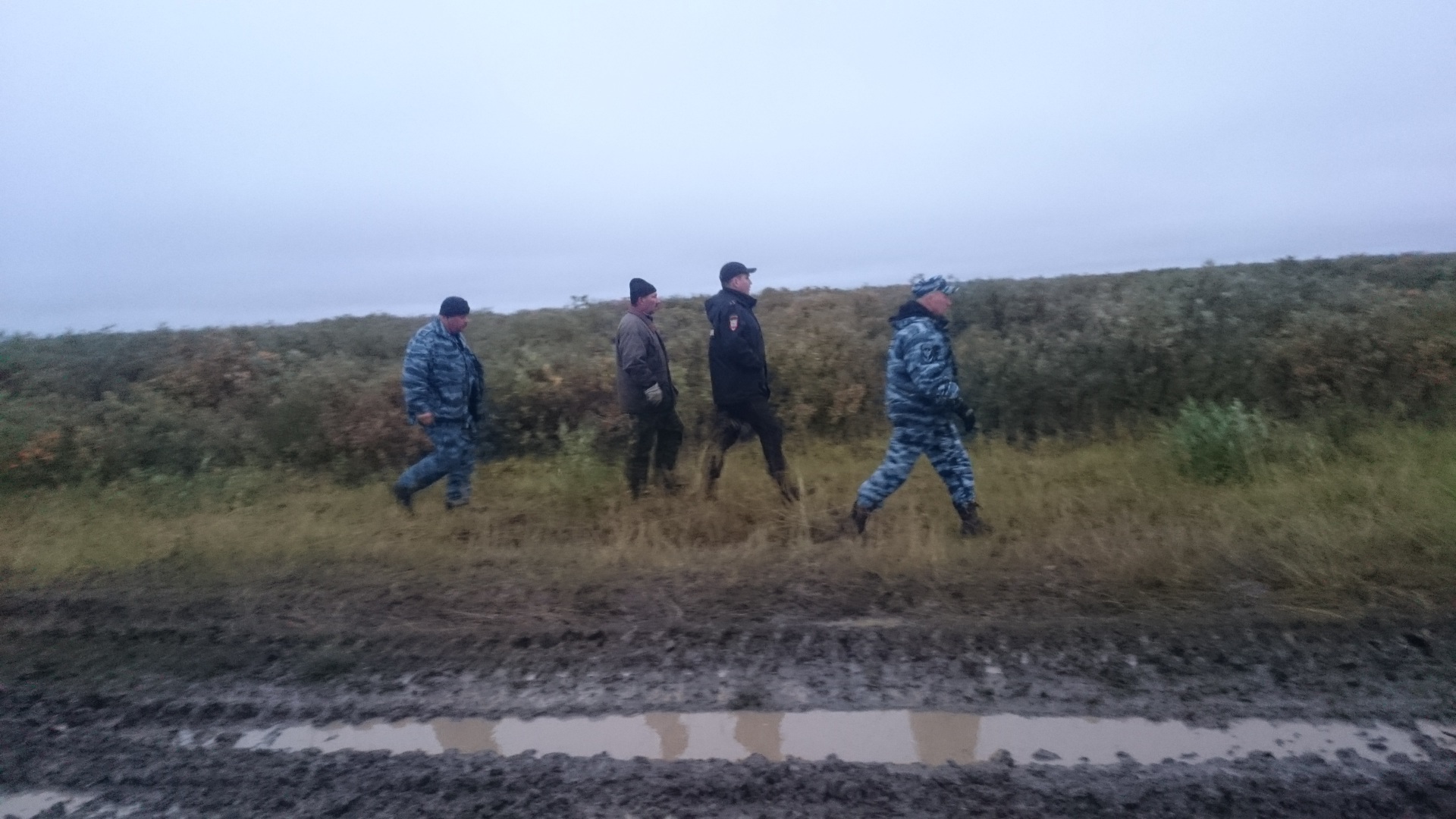 В Воркуте из тундры эвакуировали 71-летнюю женщину
