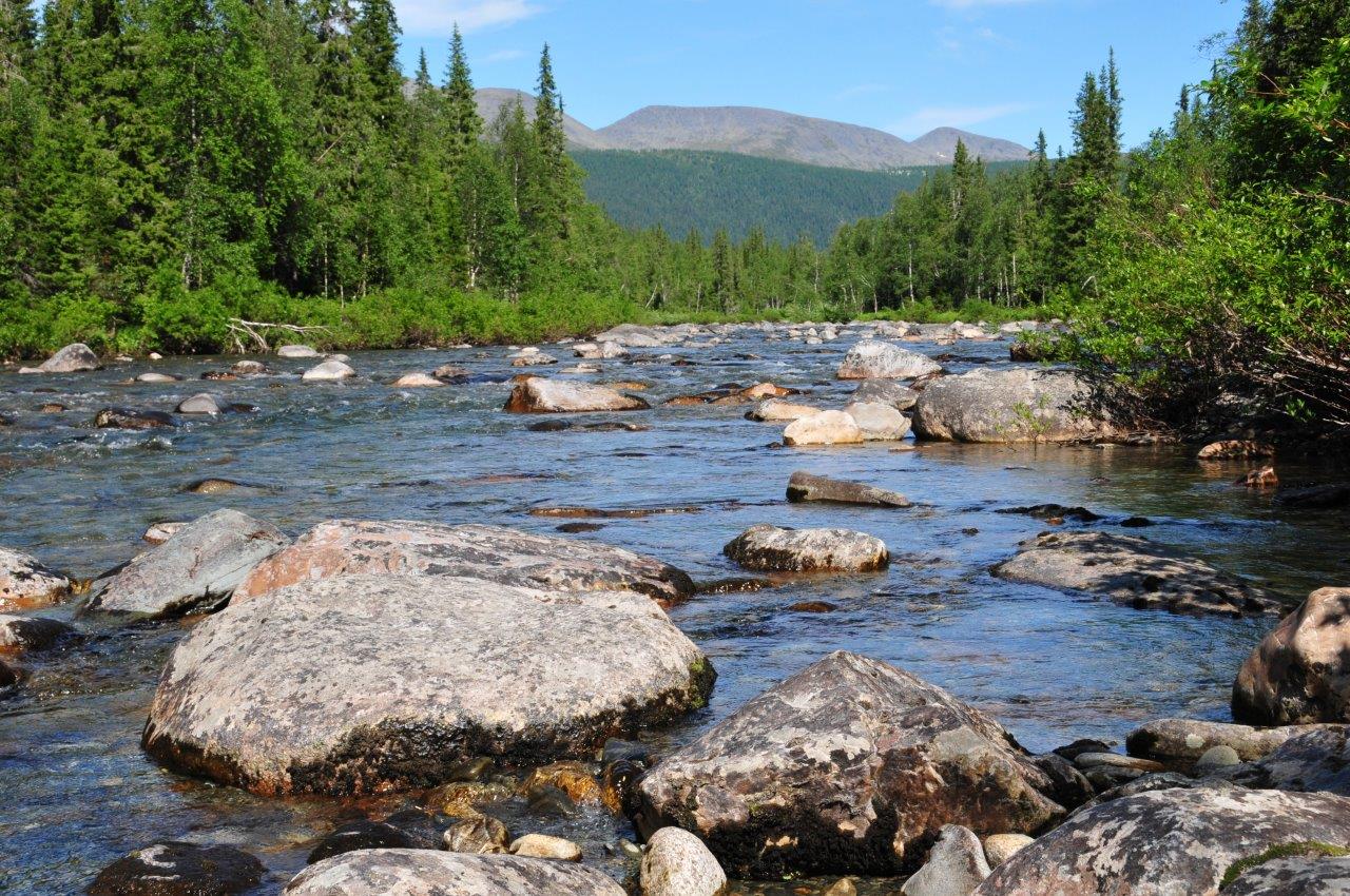 Новый проект МРСК Северо-Запада поможет экотуристам исследовать крупнейшие парки и заповедники СЗФО