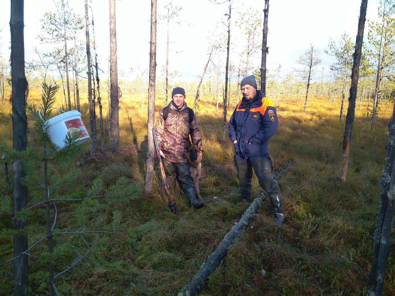 В Усть-Вымском районе нашли блуждавшую четыре дня в лесу женщину