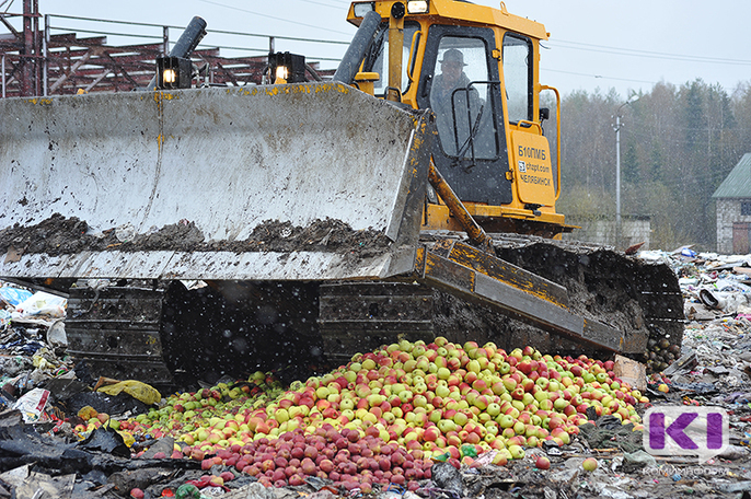 В этом году в Коми было уничтожено 819 килограммов санкционных фруктов