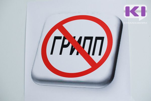 В Сыктывкаре активизировалась циркуляция вирусов H1N1 и В

