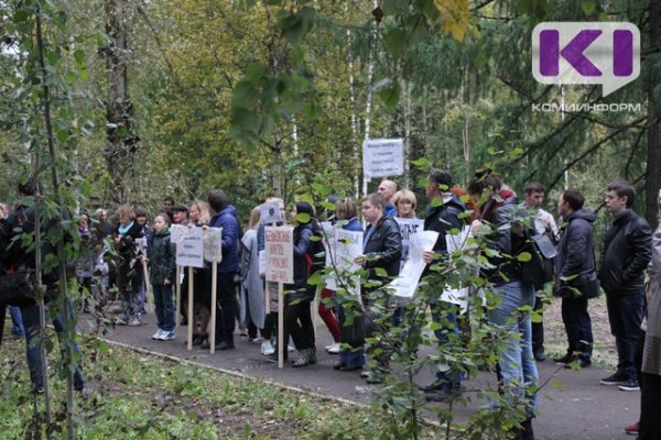 В Коми дали больше свободы для мирных акций жителям поселков и деревень