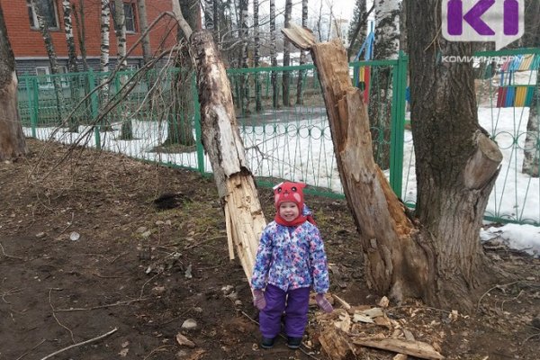Возле детского сада в Сыктывкаре спасатели устранили последствия падения дерева