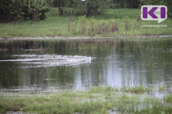 В Коми утвердили сроки весенней охоты на водоплавающую и боровую дичь

