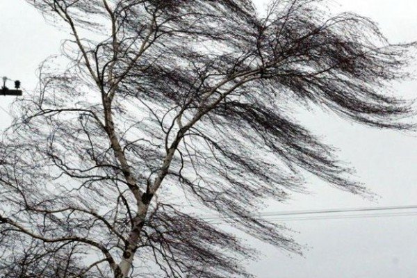 В Прилузье с паводком пришел ураганный ветер 