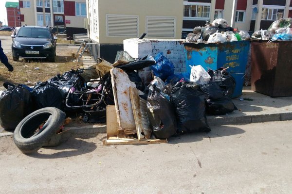 Жители домов по улице 65-летия Победы в Сыктывкаре очистили берег Сысолы 