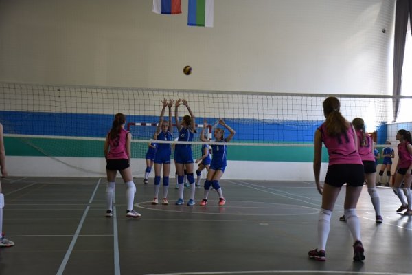Сыктывкарские девушки победили на Первенстве Коми по волейболу