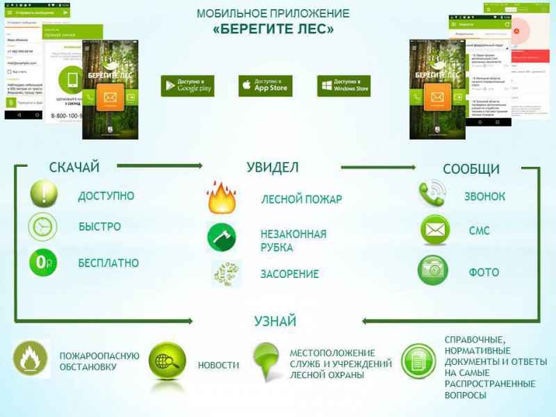 Жители Коми смогут сообщить о лесном пожаре через приложение "Берегите лес" 

