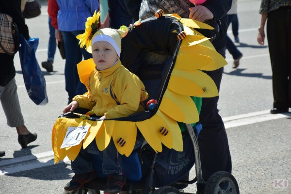 День защиты детей в Коми отметят парадом детских колясок