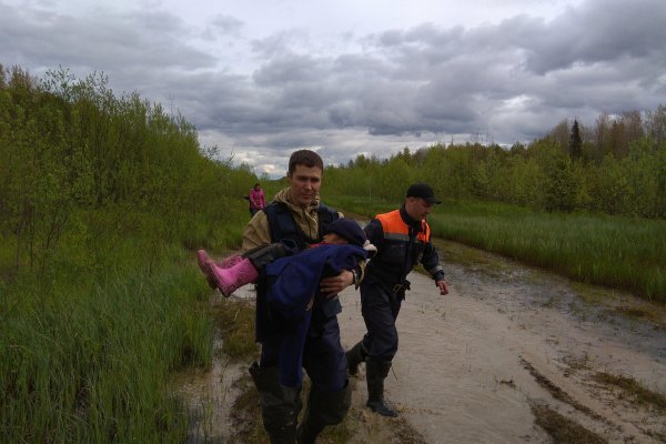 Пропавшую семилетнюю девочку в Усть-Вымском районе нашли 