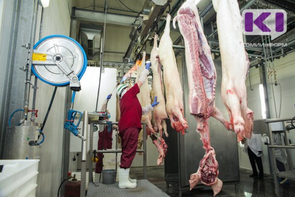 Произведенное в Коми мясо исследовали на наличие гормонов и антибиотиков

