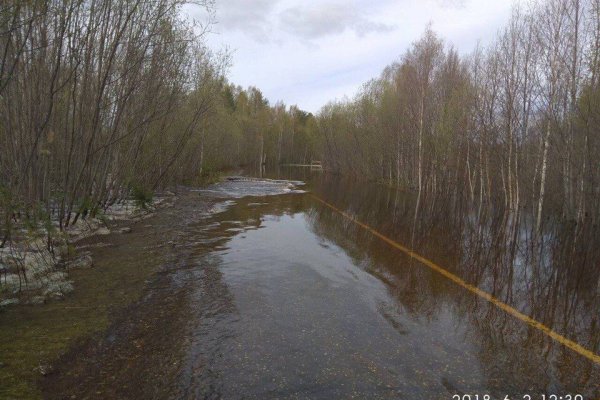 До 6 июля на Аныбской переправе в Корткеросском районе установят наплавной мост