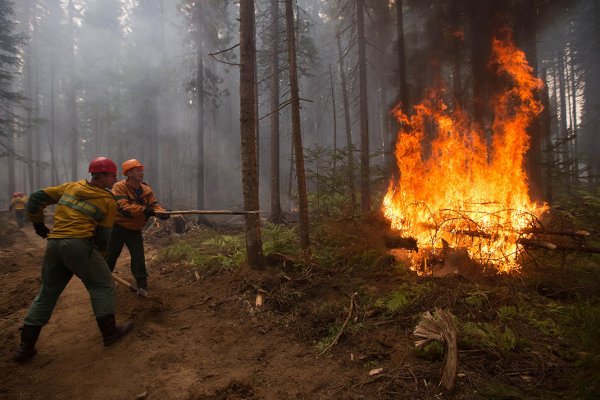 В Княжпогостском районе загорелся лес 