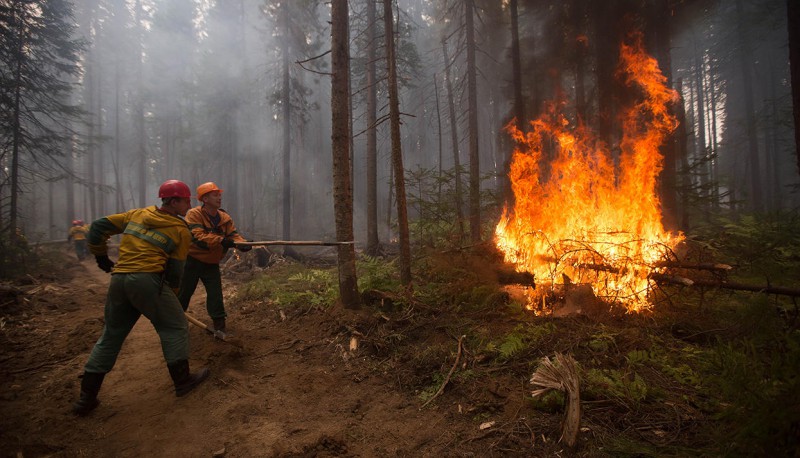 В Княжпогостском районе загорелся лес 