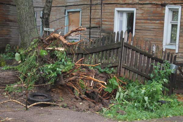 Дома по Сысольскому шоссе в Сыктывкаре в результате стихии остались без электричества 
