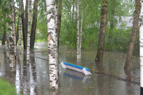 В Койгородке ливень затопил библиотеку