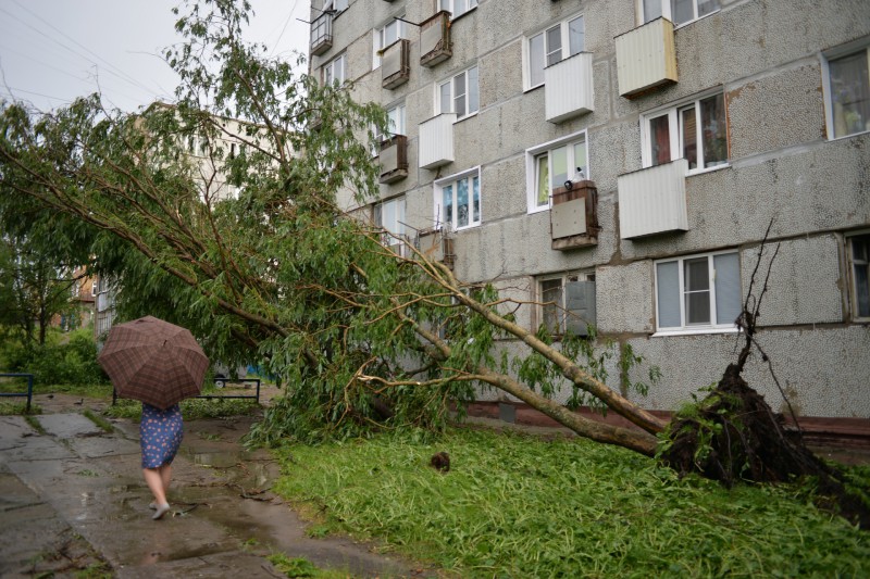 В Усинске ветер срывал крыши с домов и валил деревья