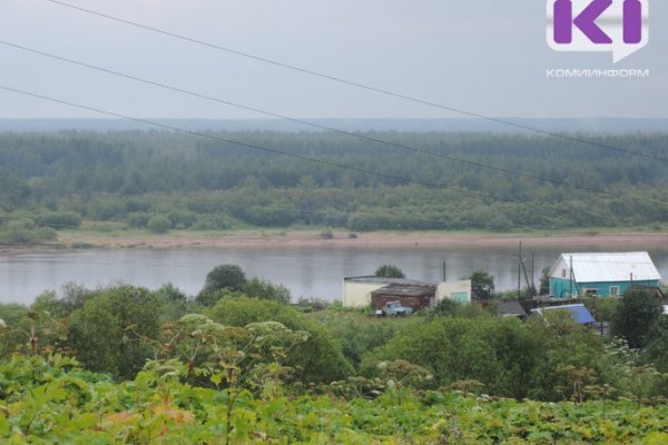В Сыктывдинском районе на берегу реки обнаружено тело человека 