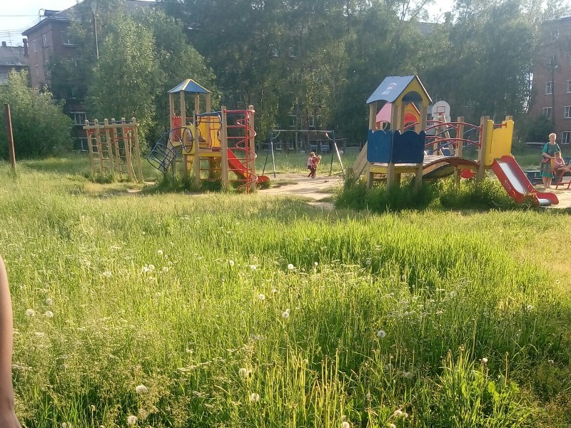 Детские площадки Микуня заросли травой