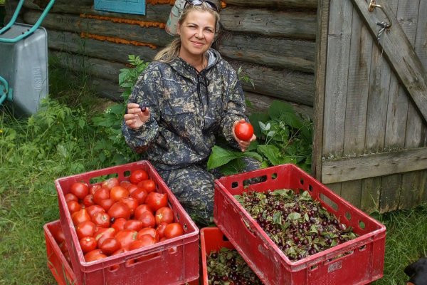 Предпринимательница из Ухты Полина Ефремова снова привезла щедрые гостинцы для лосят

