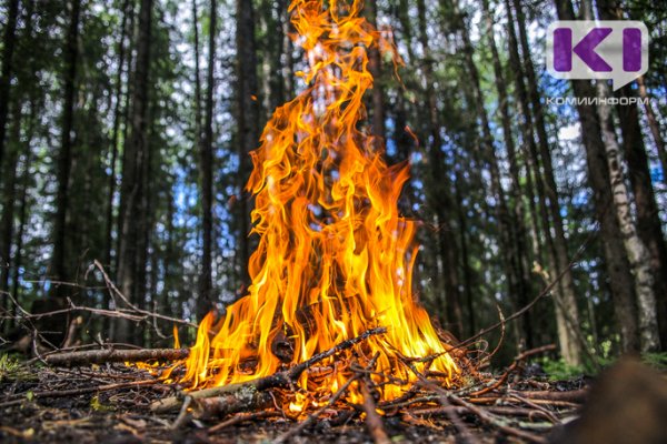В трех районах Коми горит лес