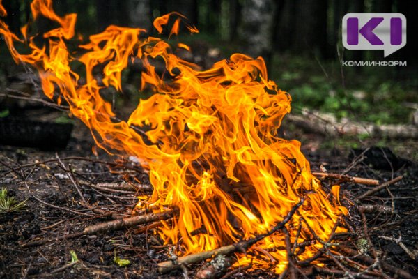 В Коми удалось локализовать два лесных пожара
