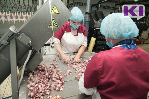 Произведенные в Коми печень и мясо оленя исследовали на наличие антибиотиков и радионуклидов
