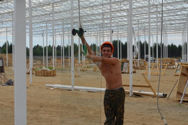 В Сосногорске к сентябрю завершат остекление тепличного комплекса

