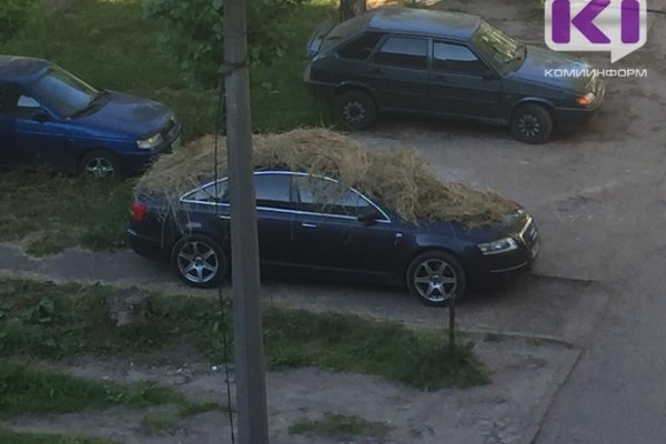 В Сыктывкаре припаркованную в неположенном месте машину обложили сеном