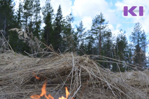 В Прилузье вблизи деревни Лехта загорелась старая делянка 
