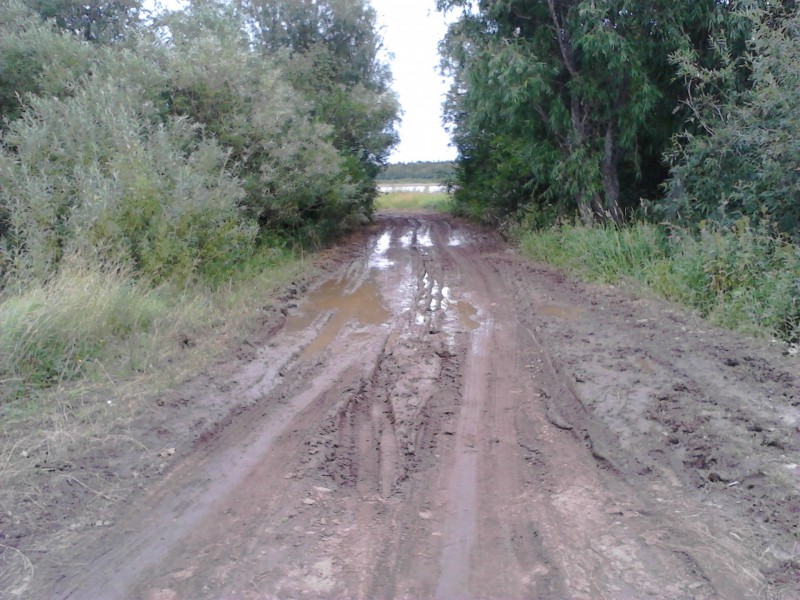 Жители Ижемского района ждут ремонта дороги "Мошъюга — Гам"
