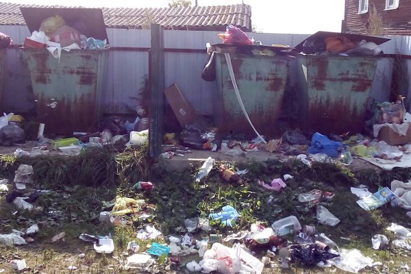  Коммунальщики Койгородка не справляются с уборкой мусорных контейнеров