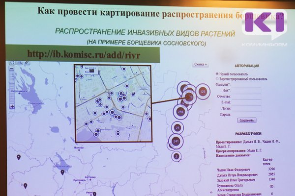 В Cыктывкаре  уничтожено более 148 тыс кв. м борщевика с начала 2018 года 