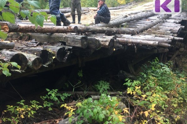 Аварийный деревянный мост под Ухтой сорвал образовательный процесс для деревенских школьников