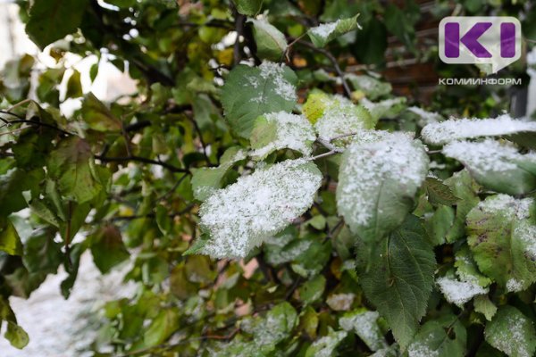 Выходные в Коми: дождь со снегом и ветер
