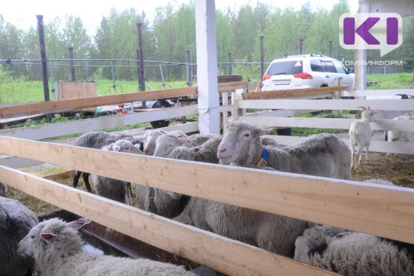 Аграрный сектор Коми получит от федералов 3,7 млн. рублей