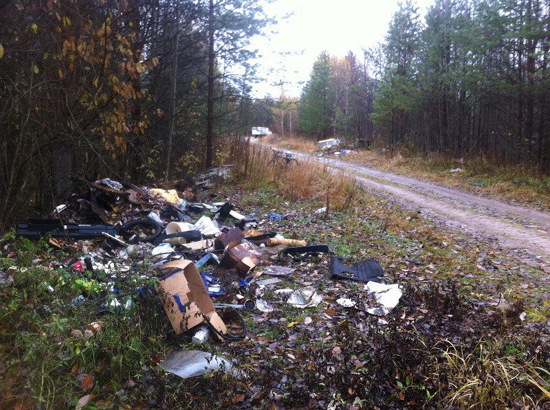 Активисты ОНФ в Коми обнаружили крупную свалку в Усть-Вымском районе