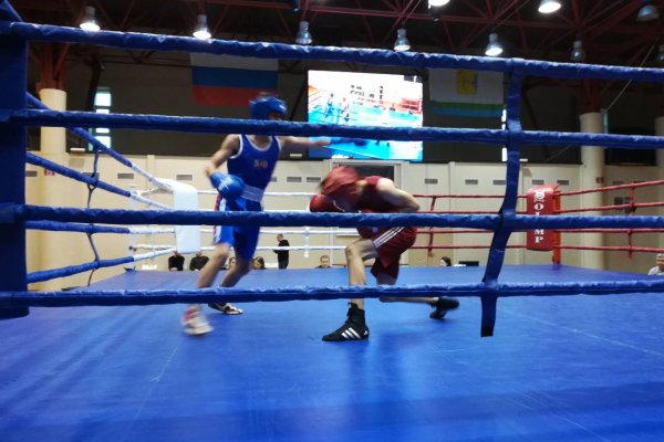 Сыктывкарские боксеры завоевали несколько медалей на межрегиональном турнире в Кирове