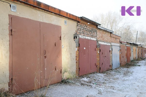 В Нижнем Одесе раскрыли кражу из гаража по горячим следам