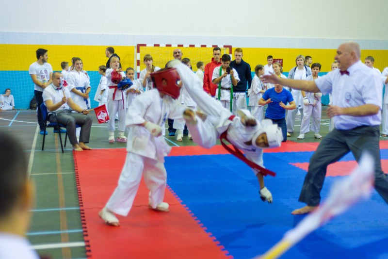 В Сыктывкаре состоялись чемпионат и первенство Коми по всестилевому каратэ