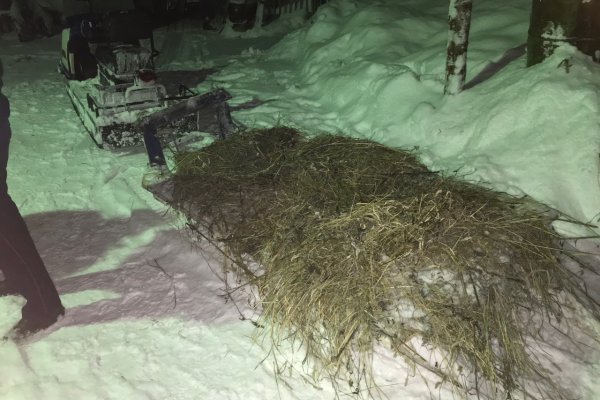 В Печоре в ДТП серьезно пострадал пассажир снегохода 