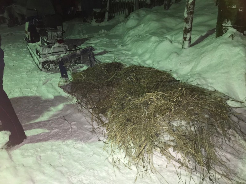 В Печоре в ДТП серьезно пострадал пассажир снегохода 